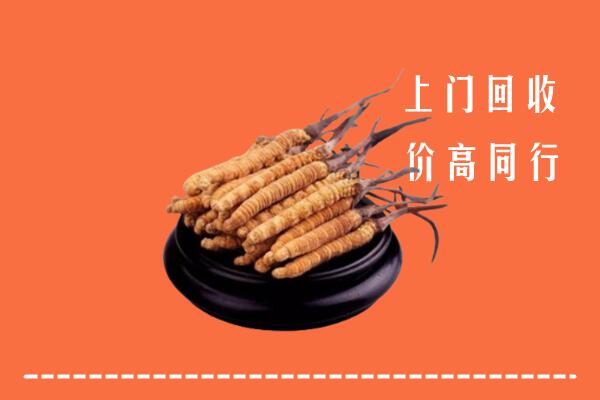 高价求购：长洲区回收散虫草